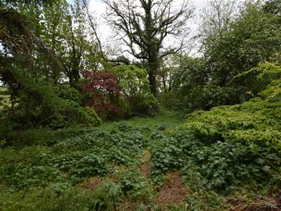 Picture 34